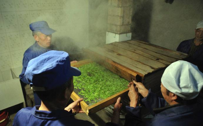 На фото «Чжэнцин». Один из видов шацин. Пропаривание чая для остановки ферментации.