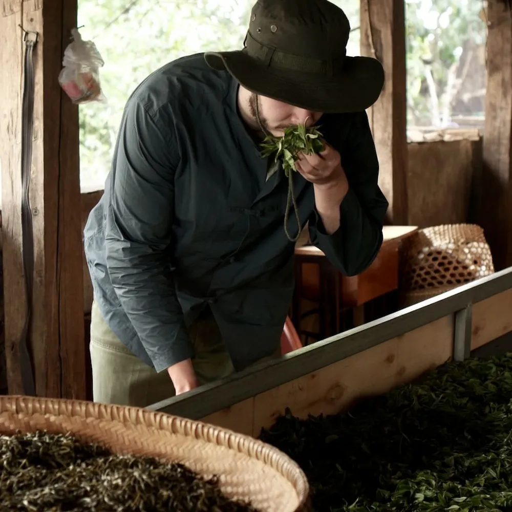 Собственное производство чая