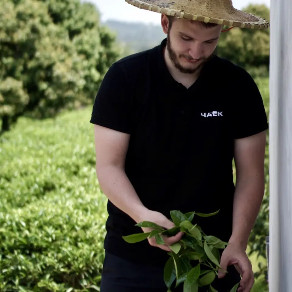 Собственное производство чая