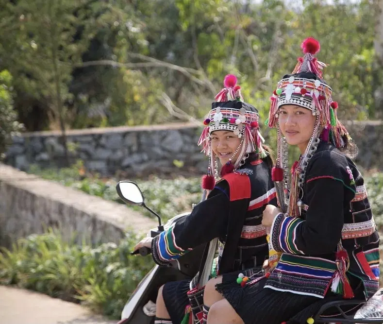 Бака Гу Шу Бай Ча