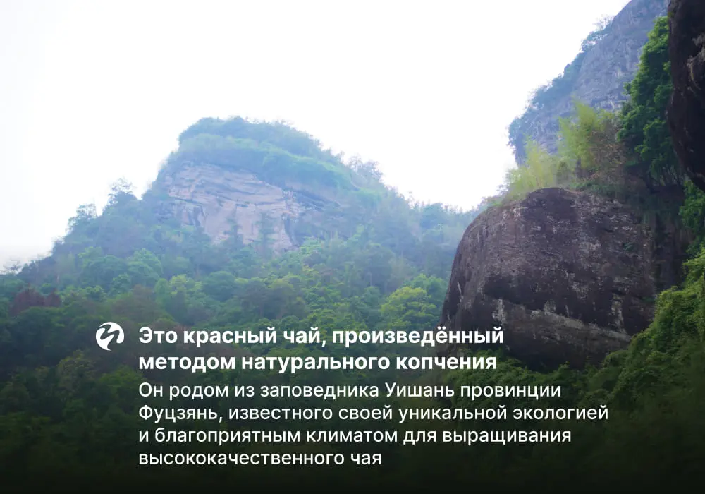 Копчёный красный Янь Сюнь Чжень Шань Сяо Чжун