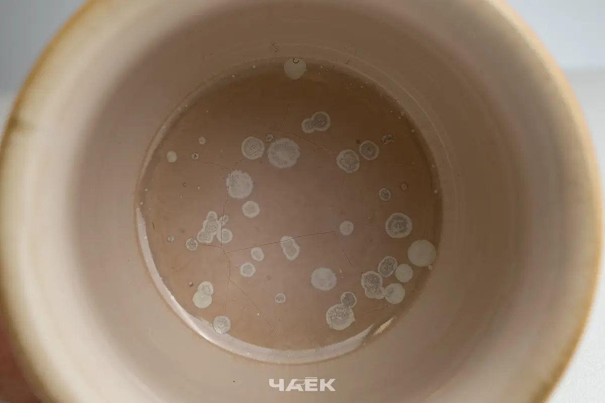 Пиала № 561, керамика Цзиндэчжэнь, 97 мл