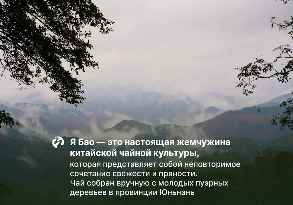 Сяо Шу Я Бао