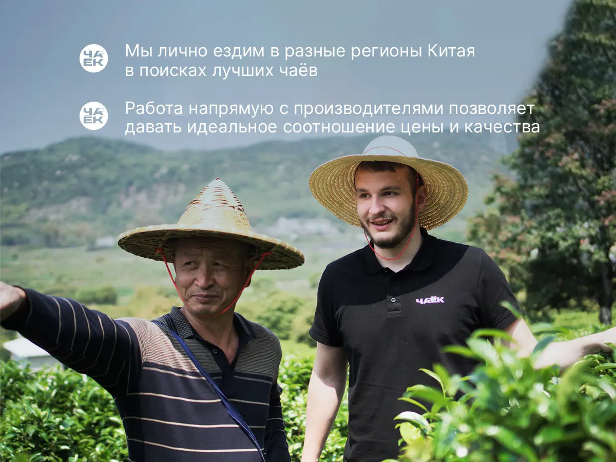 Габа «Лесная», ЧАЁК