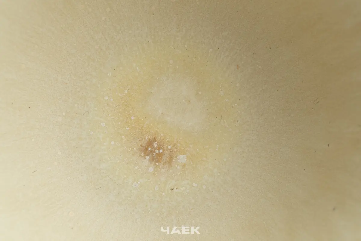 Пиала № 576, керамика Цзиндэчжэнь, 110 мл