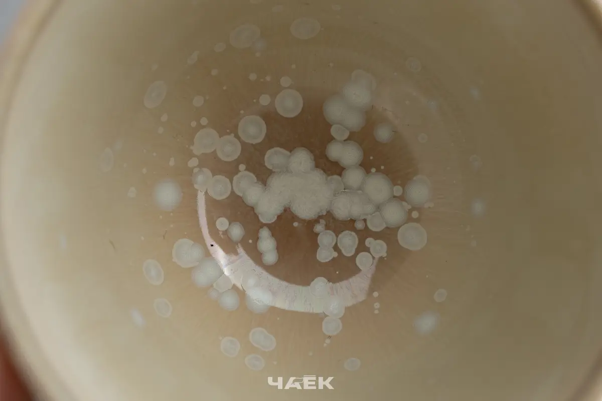 Пиала № 556, керамика Цзиндэчжэнь, 76 мл