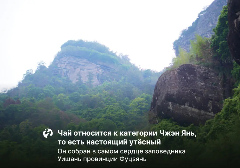 Да Хун Пао Цзинь Гуань Инь