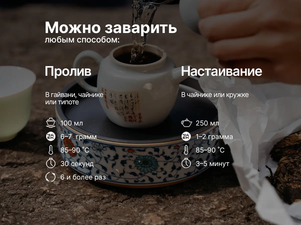 Габа «Лесная», ЧАЁК