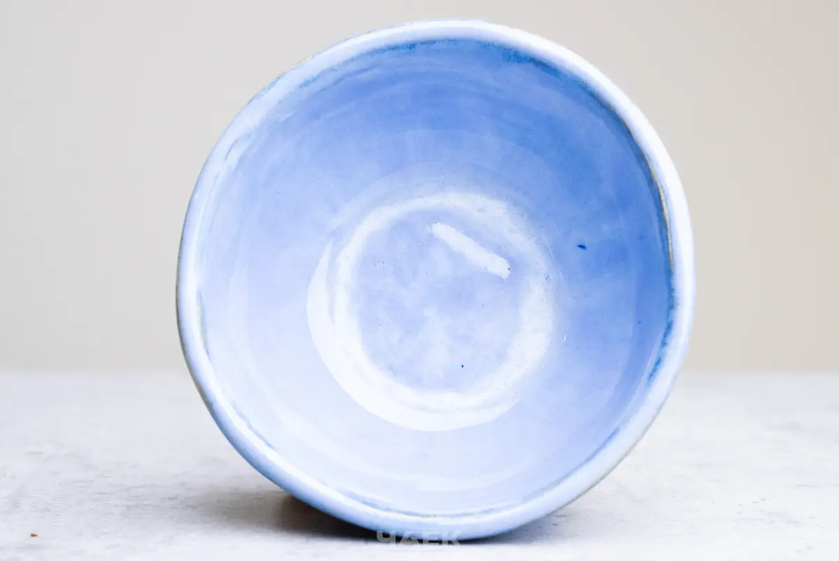 Пиала № 49 «В прохладе», керамика, 100 мл