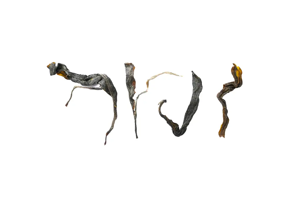 Габа «Шен пуэр», ЧАЁК, 25 грамм