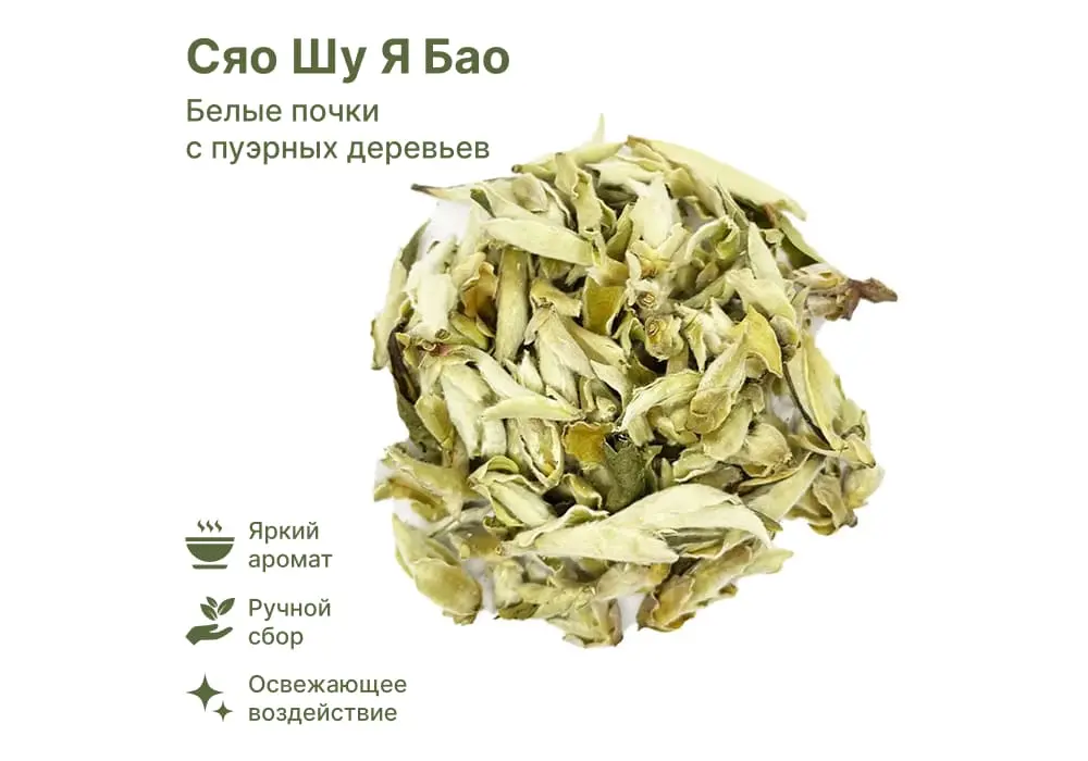 Сяо Шу Я Бао