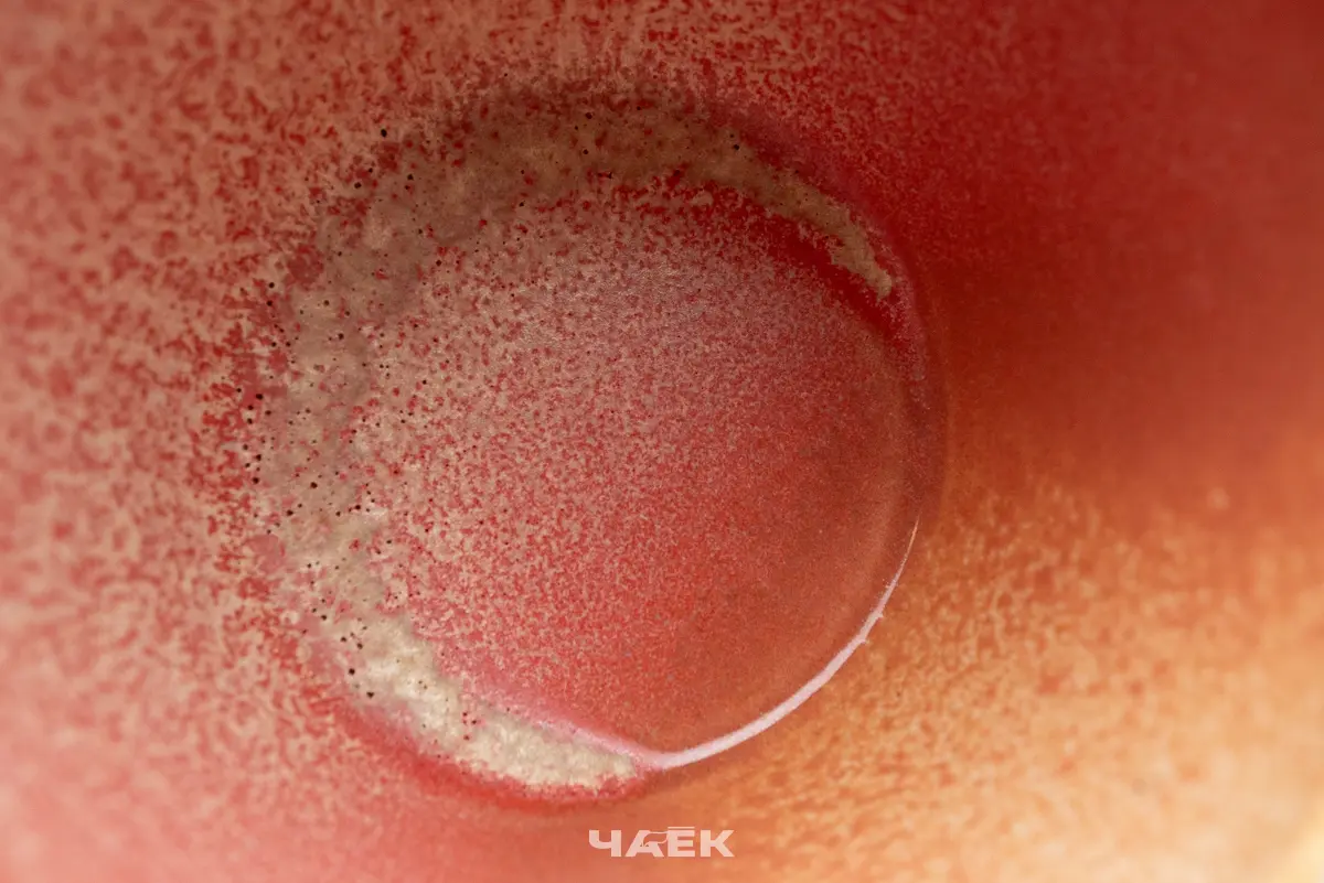 Пиала № 588, керамика Цзиндэчжэнь, 95 мл