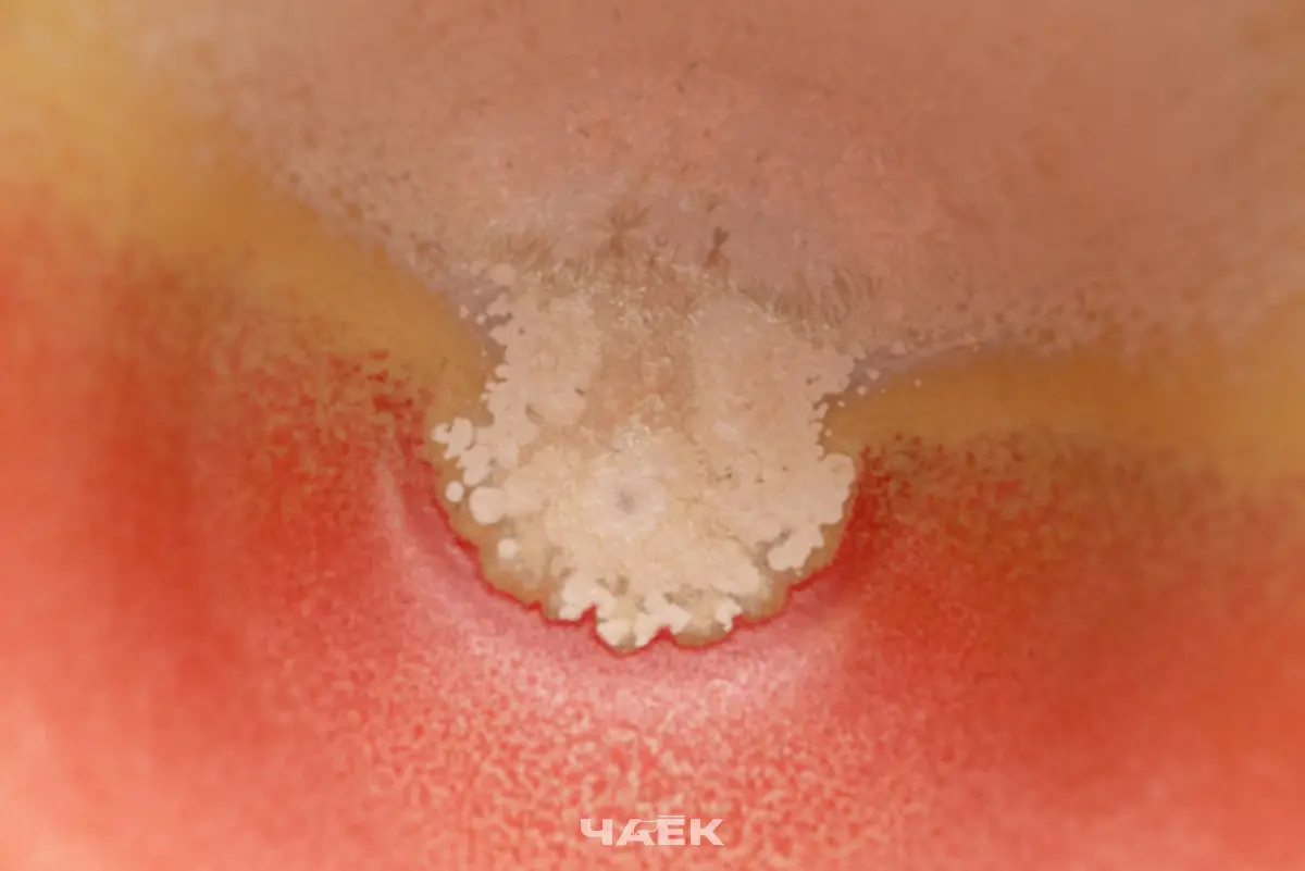 Пиала № 604, керамика Цзиндэчжэнь, 95 мл