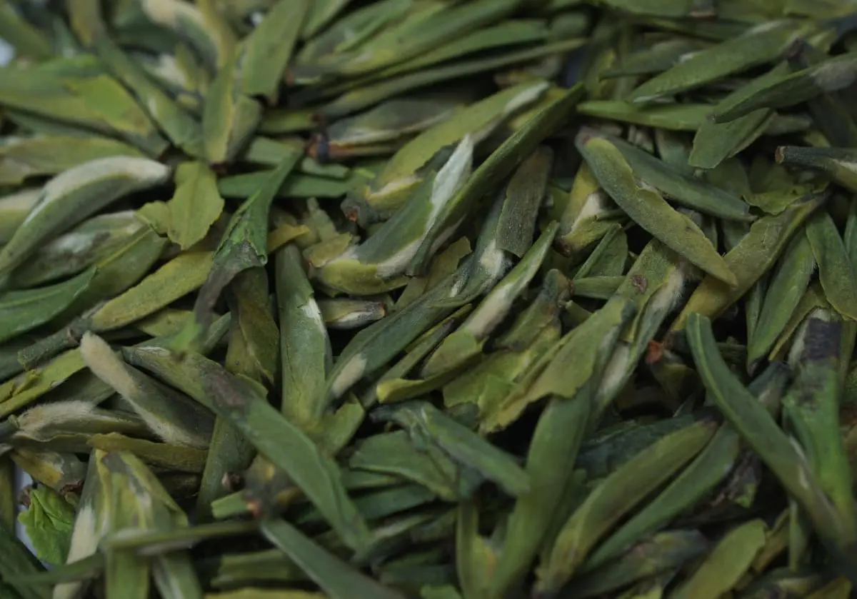 Чжу Е Цин, 2025 год