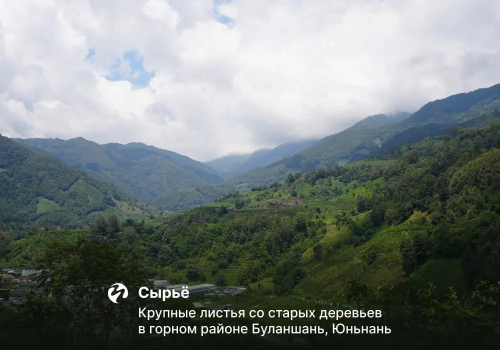 Габа «Огненная», красный чай от ЧАЁК, 25 грамм