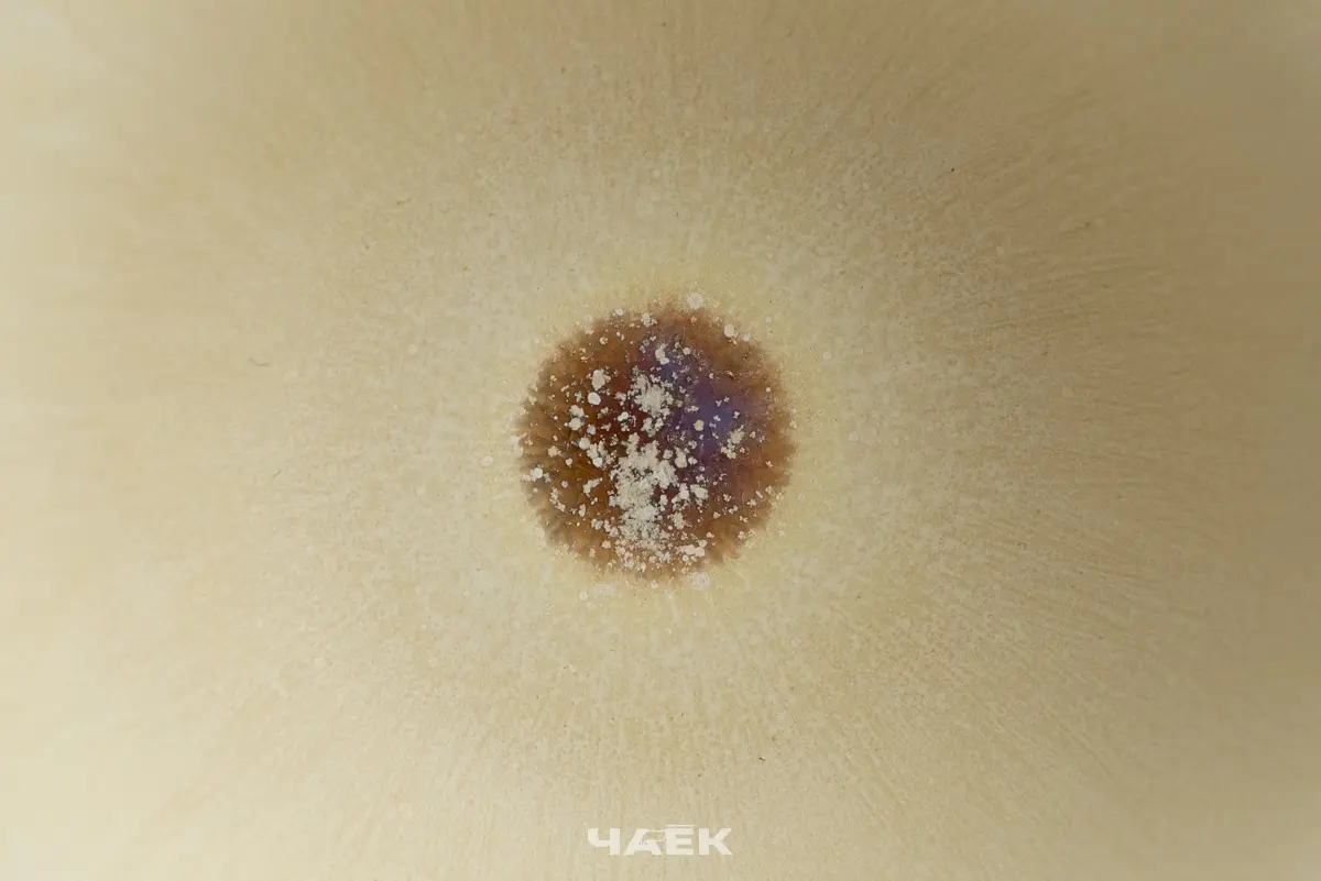 Пиала № 573, керамика Цзиндэчжэнь, 110 мл