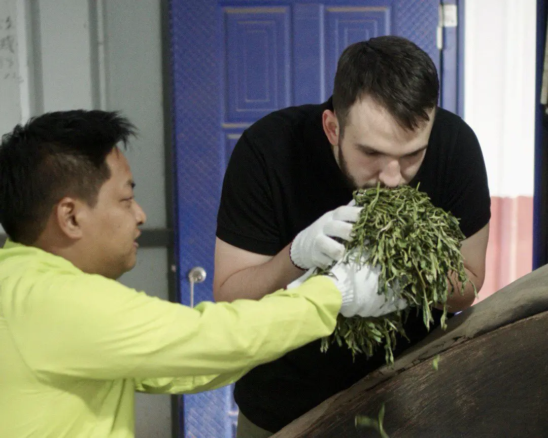 Дянь Хун Цзинь Хао