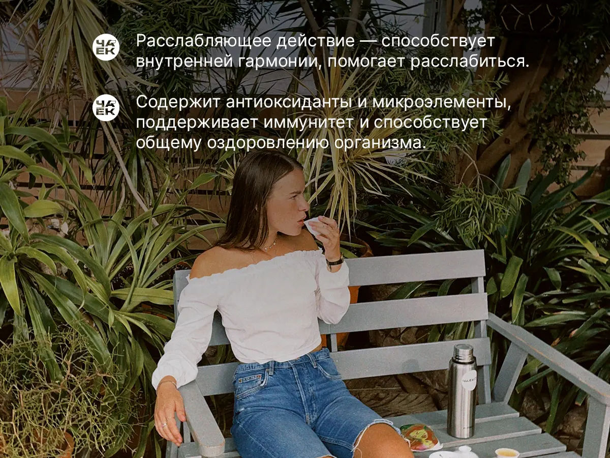 Габа «Лесная», ЧАЁК