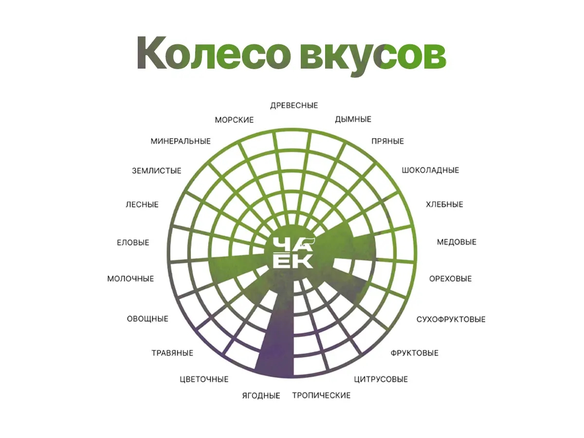 Габа «Лесная», ЧАЁК