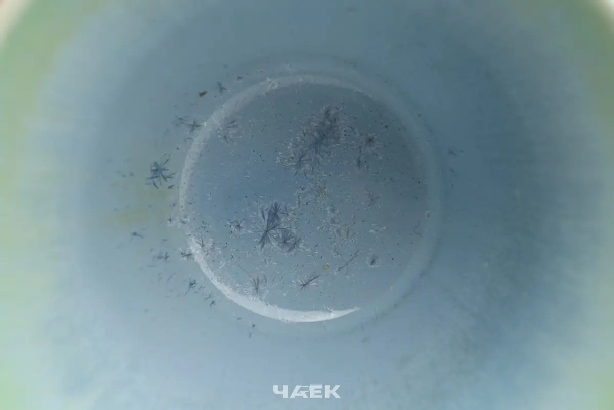 Пиала № 608, керамика Цзиндэчжэнь, 110 мл