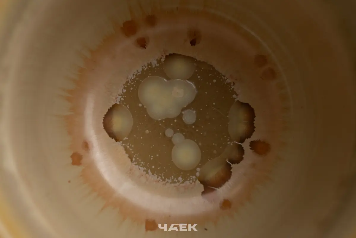 Пиала № 565, керамика Цзиндэчжэнь, 123 мл