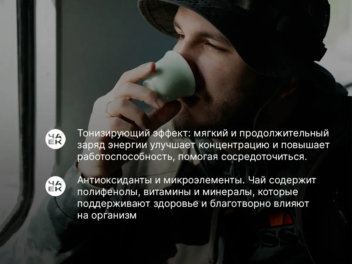 Шу пуэр «Чайные головы с больших деревьев», ЧАЁК, 250 грамм, 2022 год