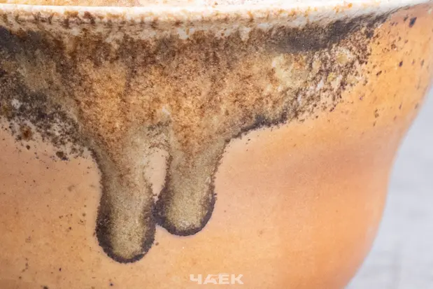 Гайвань № 115, керамика Дэхуа, 100 мл