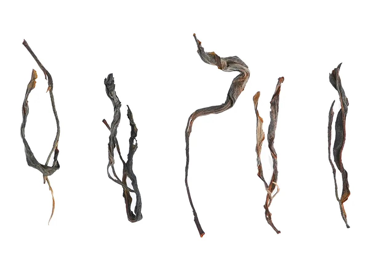 Шен пуэр «Процесс»