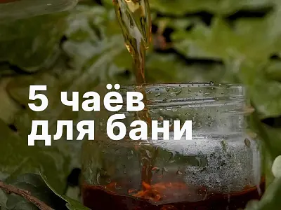 5 чаёв для бани