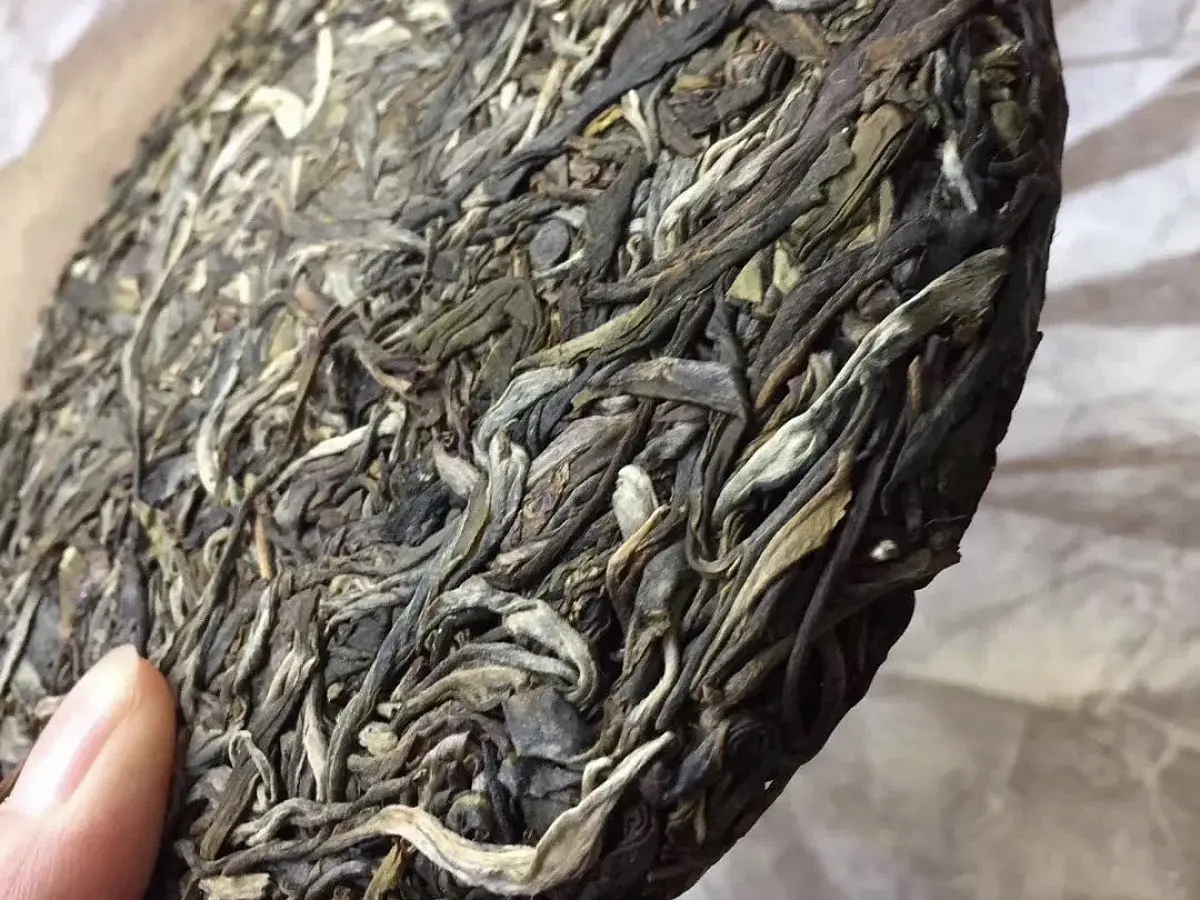 Хе Кай Гу Шу, 2017 год