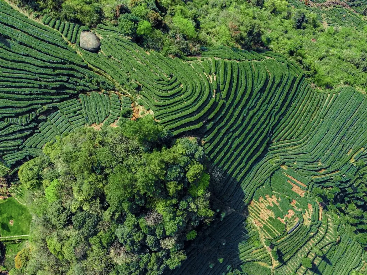 Ма Чжань Хуо Шань Цин Сян, 2000 м