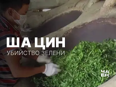 Зачем убивать в чае зелень, или что такое «Ша Цин»?