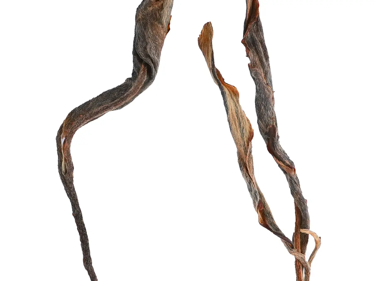 Шен пуэр «Процесс»