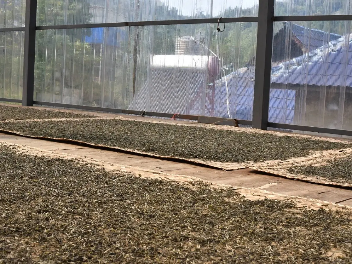 Белый чай «Абстракция», ЧАЁК, 100 грамм, 2021 год