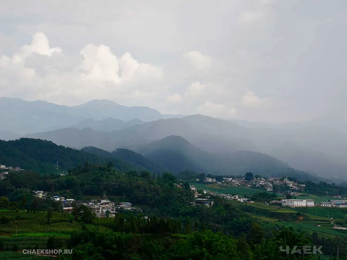 Specialty Box от ЧАЁК