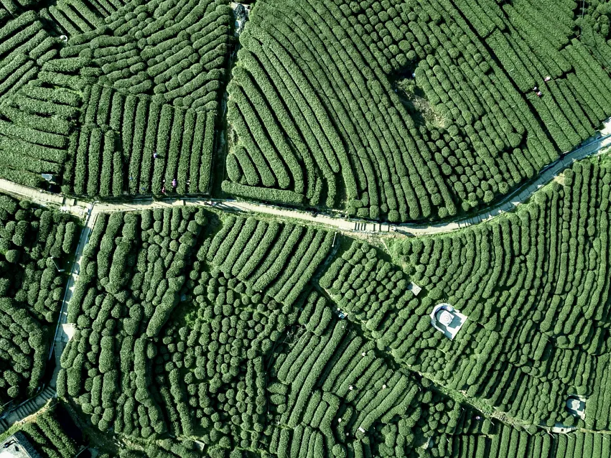 Тэн Чунь Цин Сян 1900м