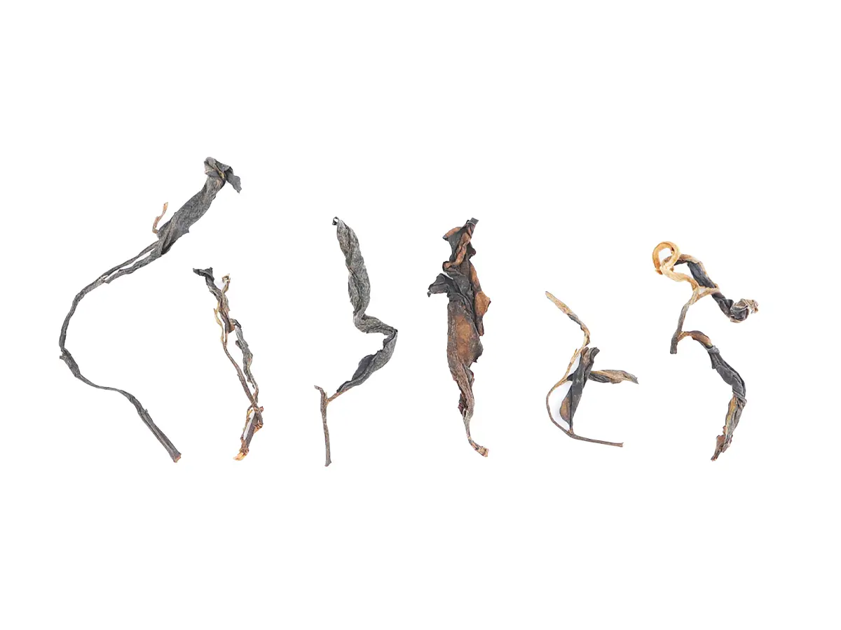 Гуа Фэн Чжай Шай Хун