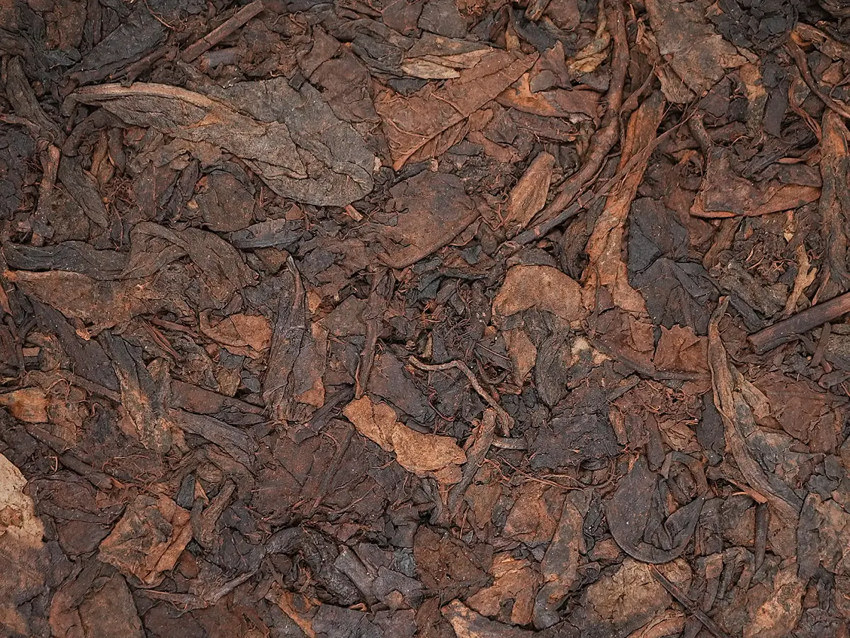 Шу пуэр «1996», 250 грамм