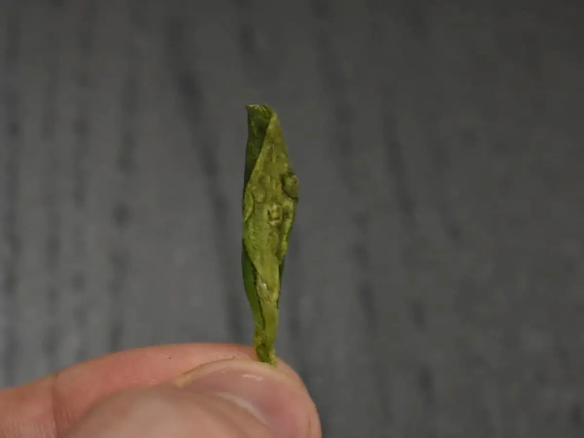 Си Ху Лун Цзин