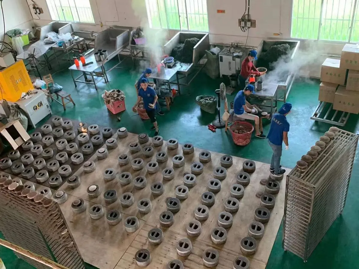 Белый чай «Вековые деревья», ЧАЁК, 200 грамм