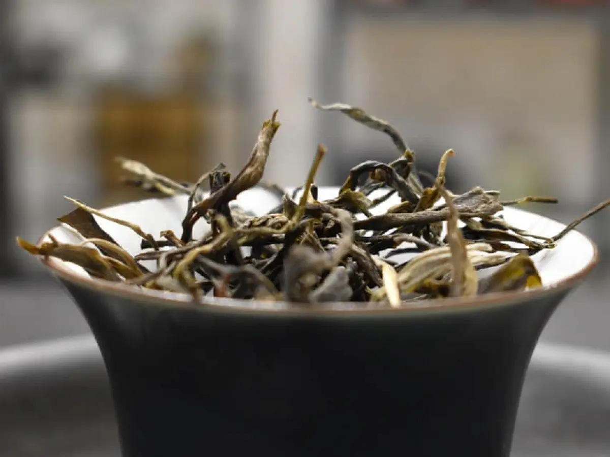 Цяо Му Булан Шань, 2020 год