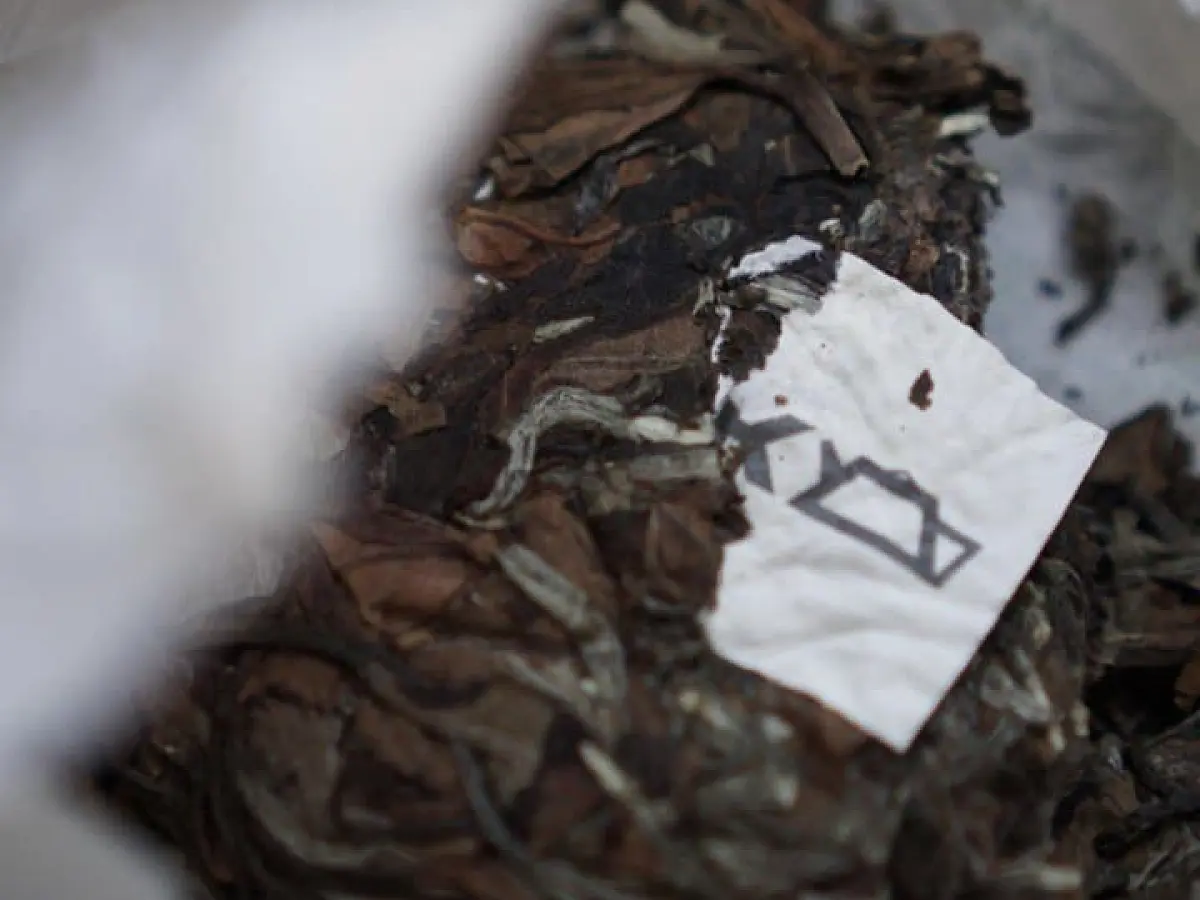 Белый чай «Абстракция», ЧАЁК, 100 грамм, 2021 год