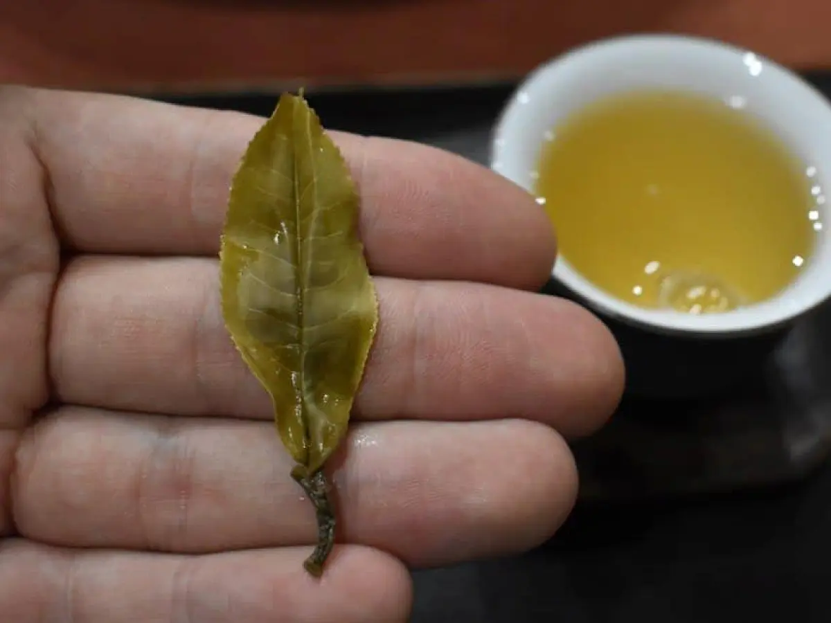 Цяо Му Булан Шань, 2020 год