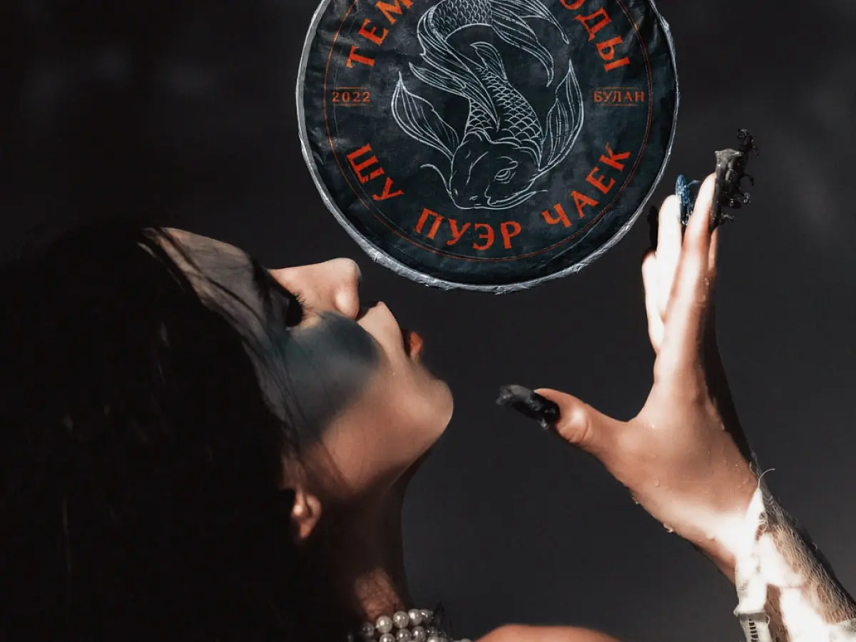 Шу пуэр «Тёмные воды», ЧАЁК, 357 грамм, 2022 год