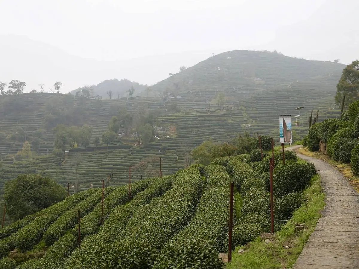 Эмэй Шань Лун Цзин