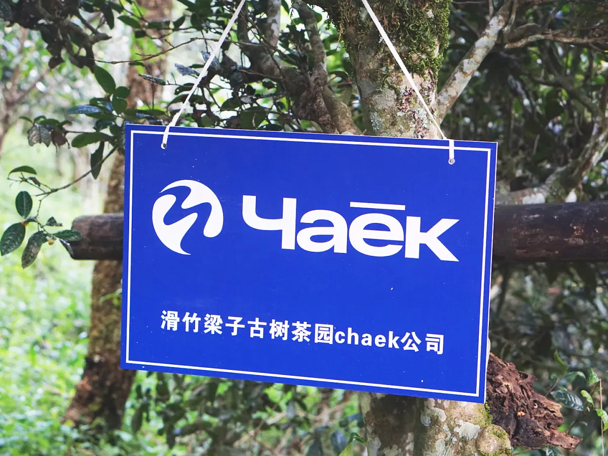 Габа «Дикий мёд»