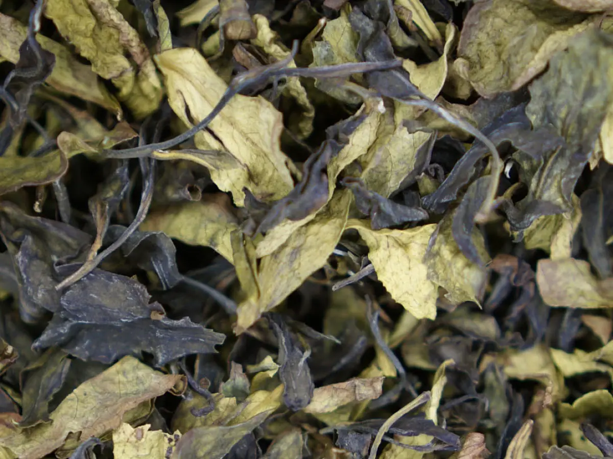 Дань Цун Бай Ча