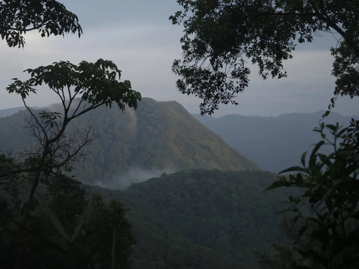 Гуа Фэн Чжай, 2018 год