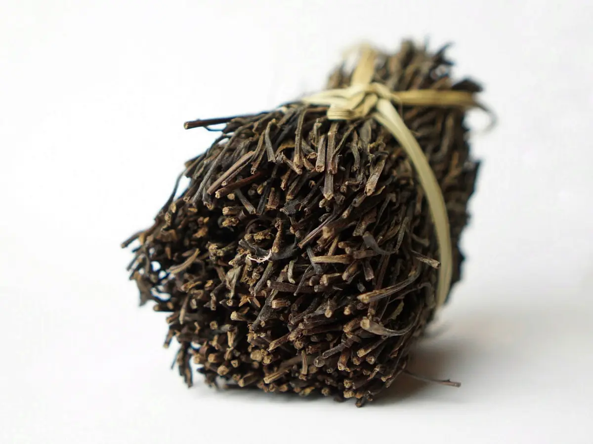 Шен в косичке