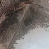Отзыв от Полина Шабарина, фото 2